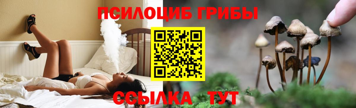 Аргун  Псилоцибиновые грибы Psilocybine cubensis  Вход с VPN  Галлюциногенные грибы ЛСД 